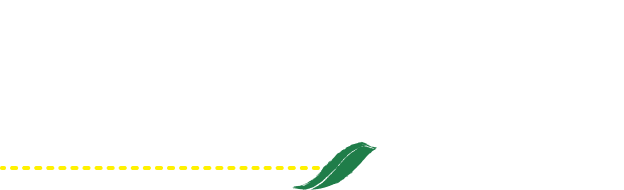 天然由来の北海道産くまいざさを使用した笹茶